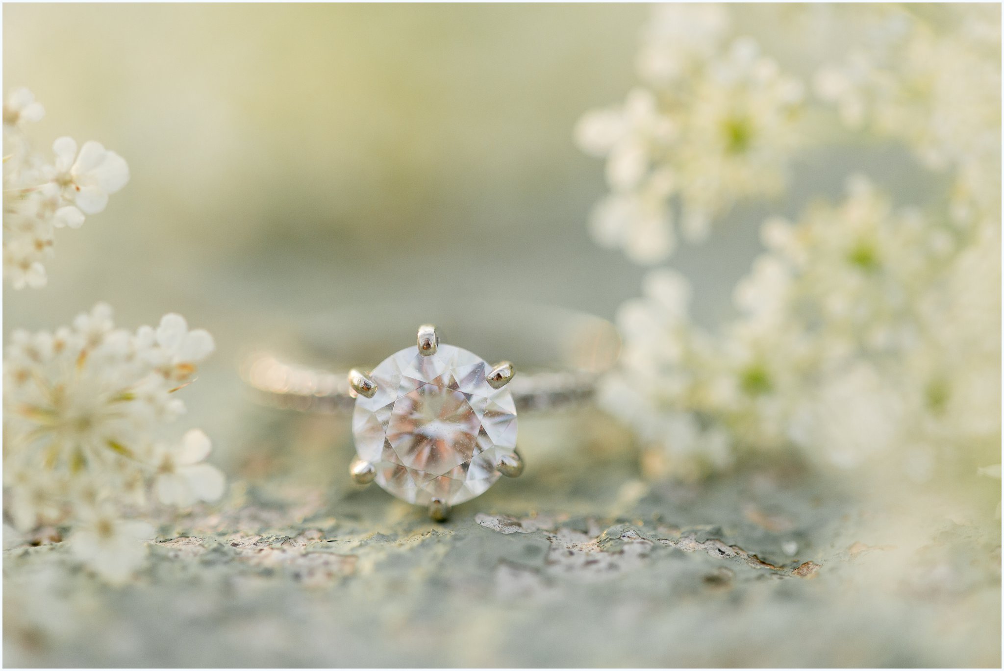 ring shot with white flowers