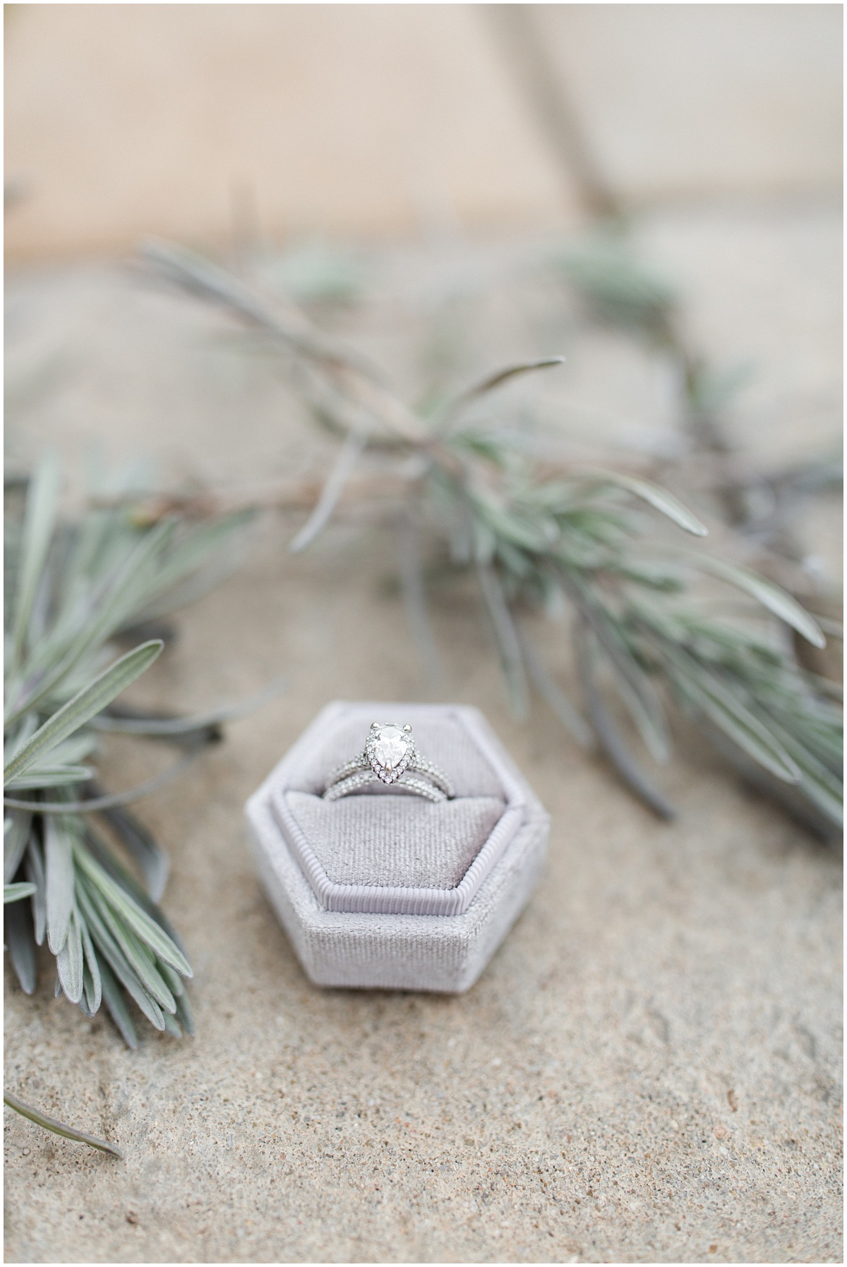 Bandit's Ridge Wedding Charlottesville Wedding Photographer