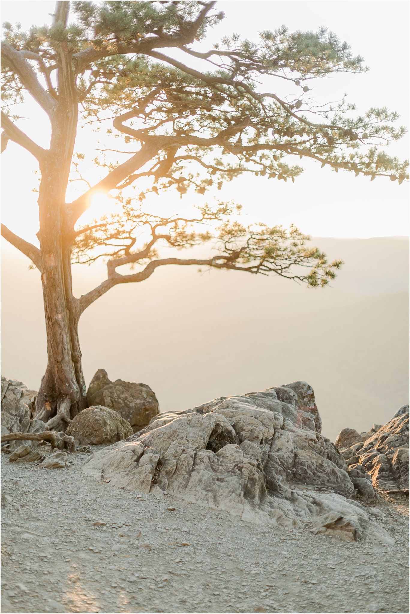 Blue Ridge Engagement Session