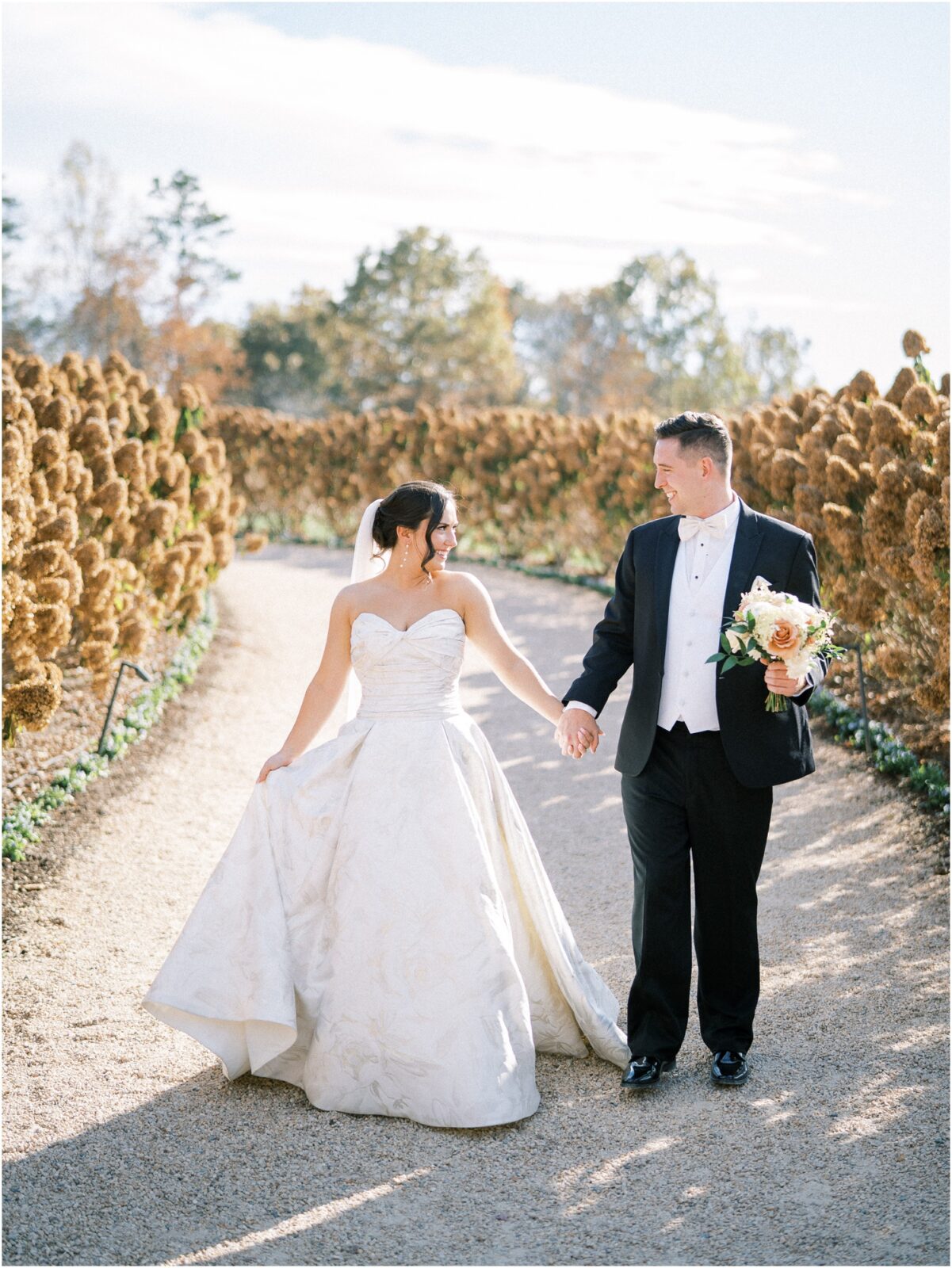 Pippin Hill Farm Wedding Charlottesville Wedding Photographer