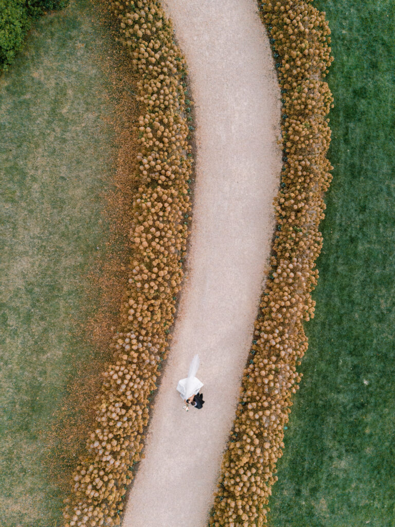 Autumn Wedding at Pippin Hill Farm Charlottesville Wedding Photographer Hydrangea Lane