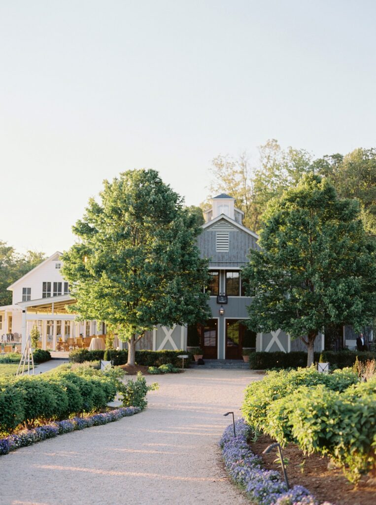 Birthday Celebration at Pippin Hill Farm Charlottesville Wedding Photographer