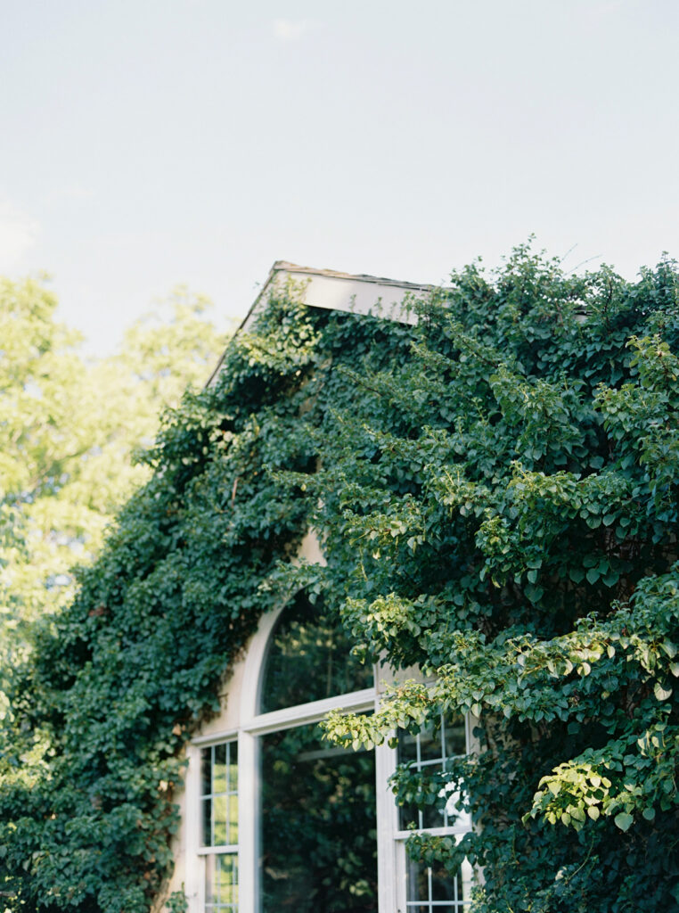 Whimsical Backyard Wedding