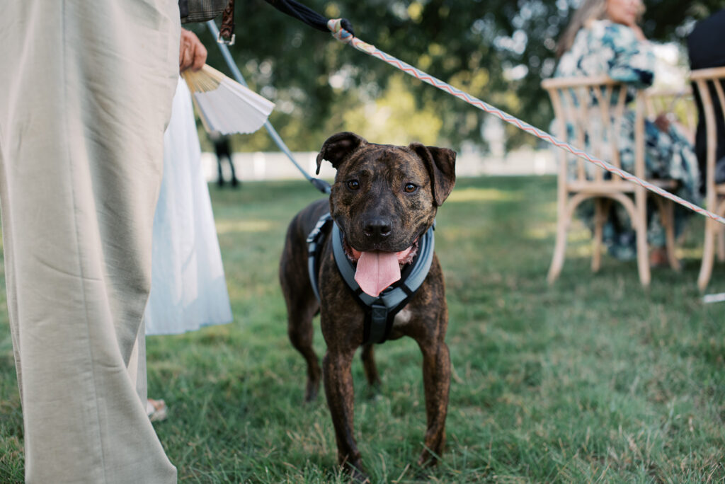 Northfield Estate Wedding